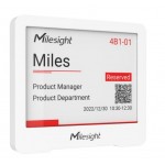 DS3604-868M