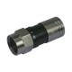 FCC 6- 49 EX